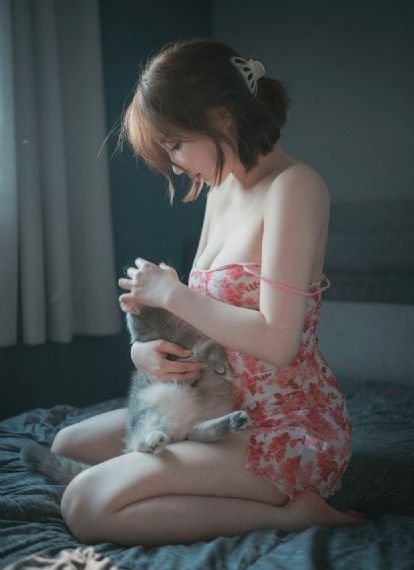 番茄影视大全免费追剧