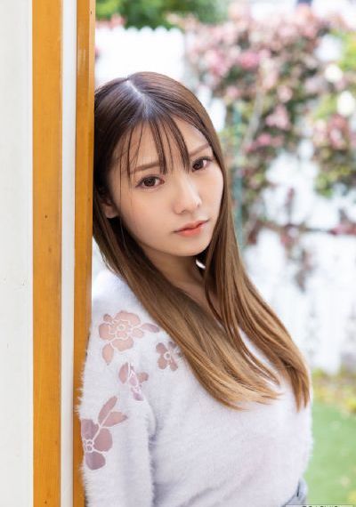 电视剧少帅